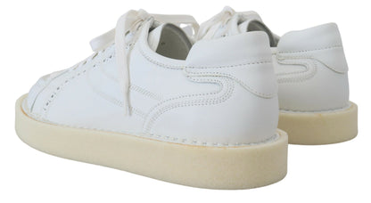 Dolce & Gabbana Elegant White Low Top Oxford Sneakers