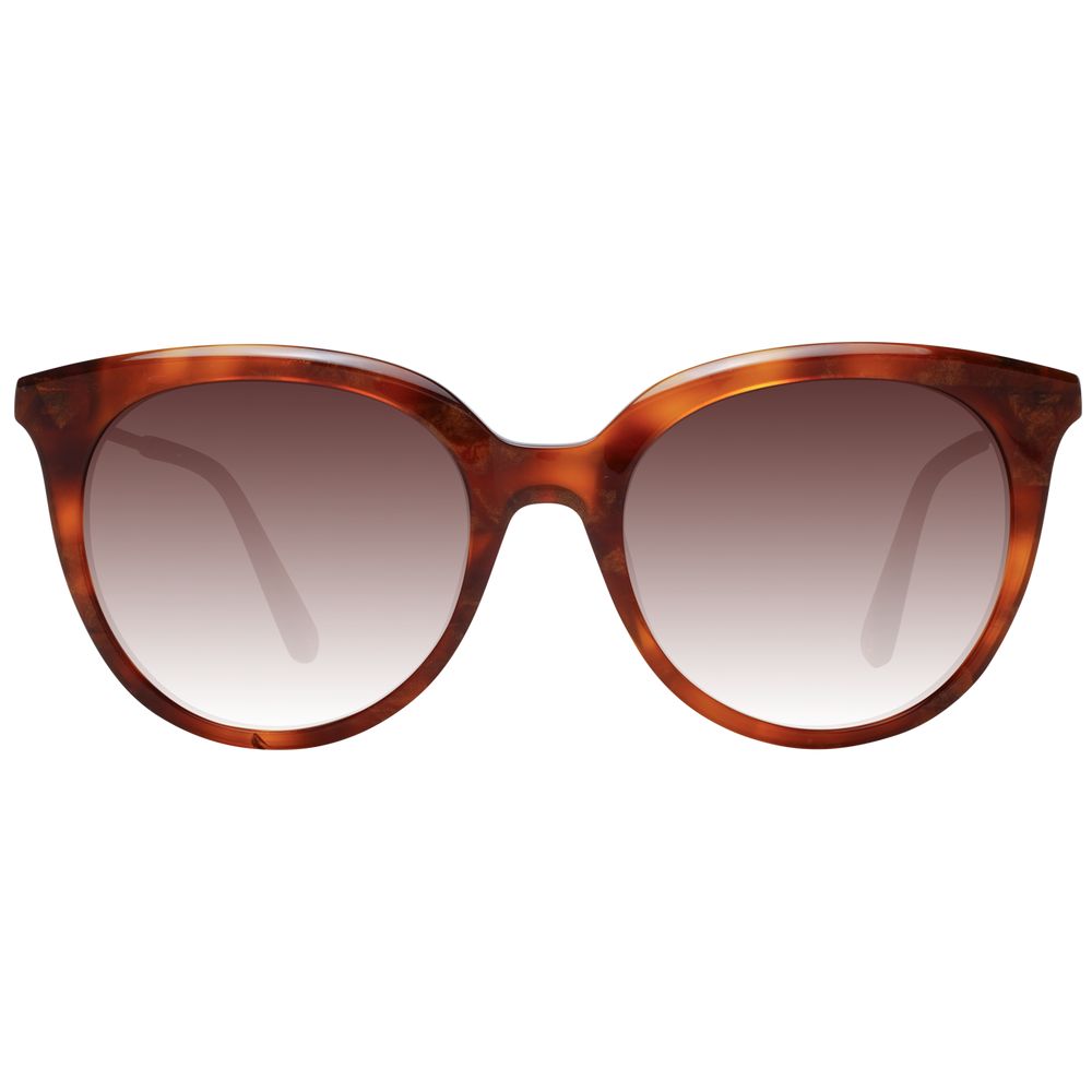 Ted Baker Brown Women Sunglasses